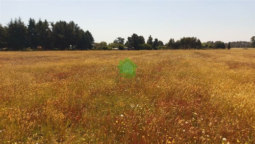 Imagen 1 de 5 de Agrícola En Venta En La Unión