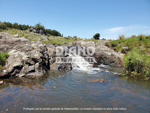 Imagen 1 de 10 de Campo Ganadero Forestal - 80 Has