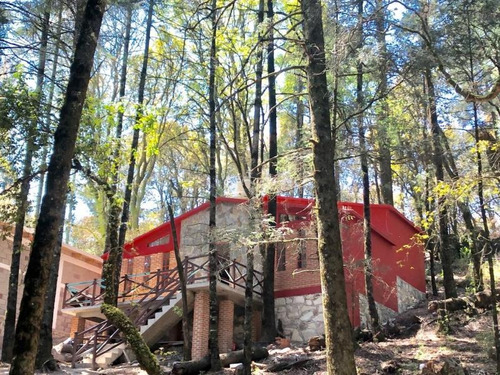 Imagen 6 de 12 de Terreno En Venta Bosque Mágico Para Cabañas, Lotes A Meses Sin Intereses