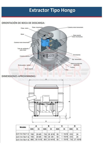 Extractor Tipo Hongo Banda Y Poleas De 18 Pulgadas 1 Hp.
