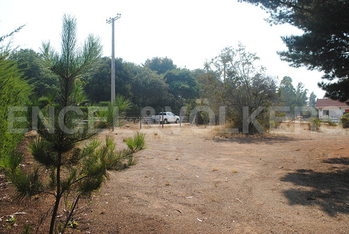 Terreno En Algarrobo