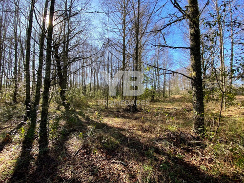 Venta De Parcela Sector Lliu-lliu | Km 12 Villarricaloncoch