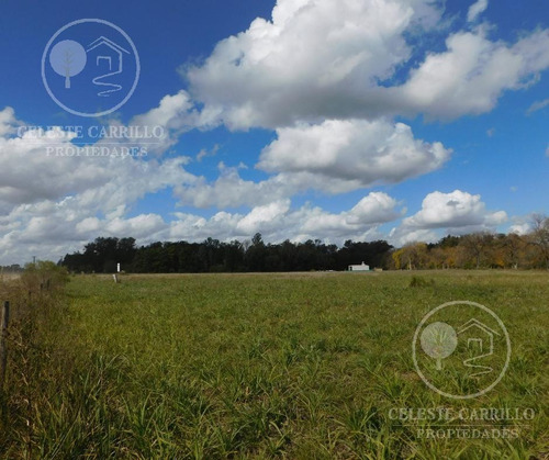 Imagen 5 de 12 de Venta - Lote - Terreno En Remanso - Exaltacion De La Cruz