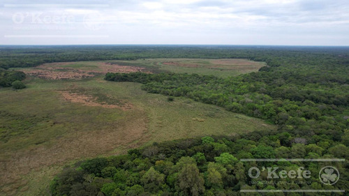 Campo En Venta De 1150 Has En Formosa. Cerca De Ruta Nac. 11