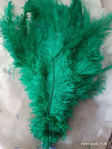 Plumas Amazonas 40cm Pack X 20 Udes.