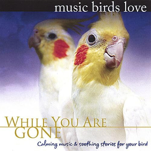 Cd: Música: Birds Love: Mientras Te Hayas Ido (música: Relaj