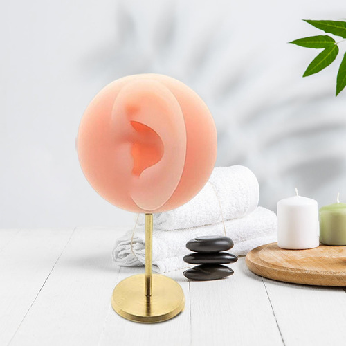 Soporte De Maniquí De Oreja De Rosa Derecha Rosa Derecha