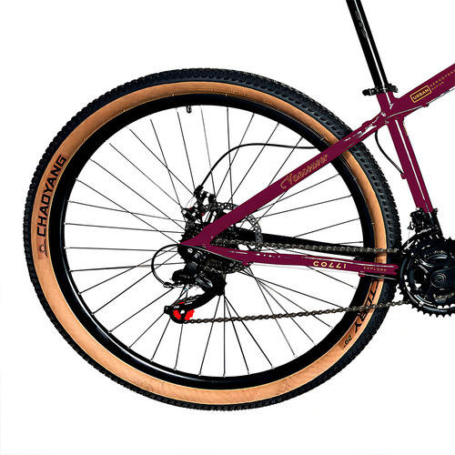 Bicicleta Aro 29 Colli Vancouver 21 Marchas Freio A Disco Cor Roxo Perolizado