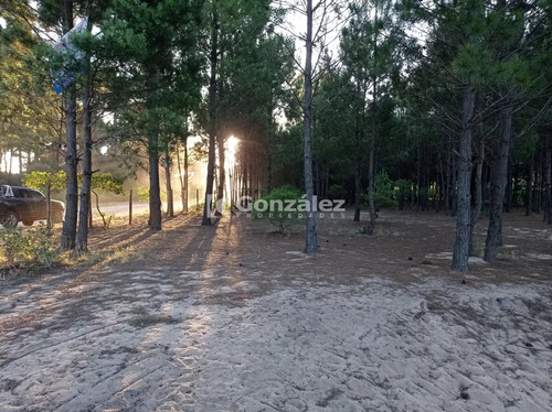 Terreno De Grandes Dimensiones Con Costa Arroyo En Chihuahua