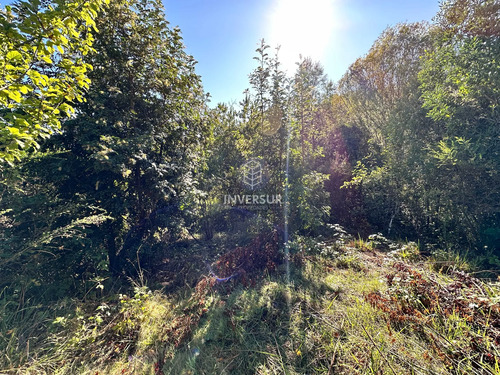 Terreno En Arique Ruta A Valdivia (133760)