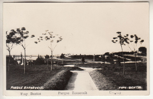 1946 Postal Fray Bentos Fotografia De Parque Roosevelt 