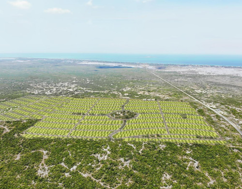 Imagen 5 de 11 de Lotes De Inversion Semiurbanizados A 5 Km De Chicxulub Puerto | Vendamar