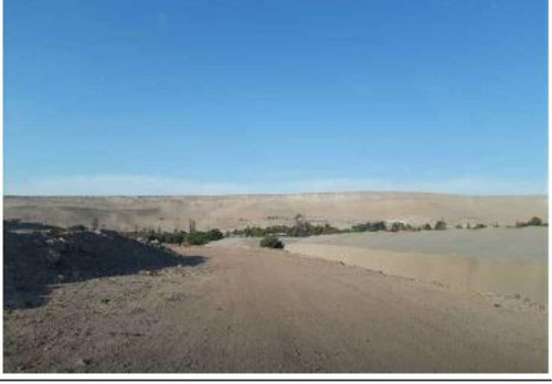 Imagen 6 de 8 de Parcela En Valle De Azapa, Arica