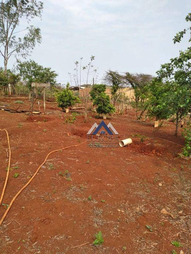 Imagem 5 de 30 de Chácara Com 2 Dormitórios À Venda, 2500 M² Por R$ 350.000,00 - Distrito Maravilha - Londrina/pr - Ch0235