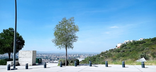 Imagen 6 de 18 de Macrolote En Venta Para Desarrollo Vertical En Loma Dorada, Querétaro.