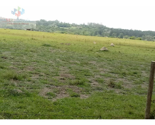 Sítio À Venda Em Cesário Lange /sp - 415