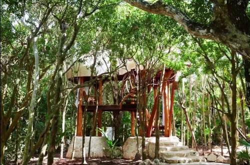 Qh5 1255 Preventa Terrenos U/s Mixto, Fracc. Con 4 Cenotes Yucatán