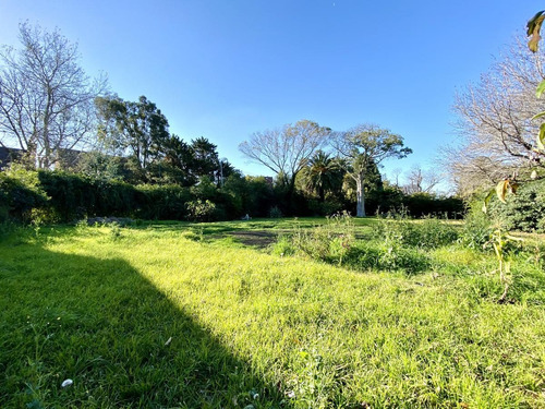 Imagen 7 de 19 de Espectacular Terreno Lote En Venta En Martinez Calle Semi Cortada