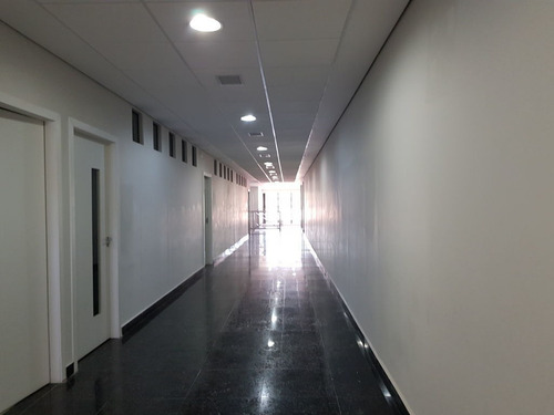 Imagem 12 de 15 de Prédios Comerciais Para Locação No Bairro Vila Miriam Em Guarulhos - Cod: Ai23407 - Ai23407