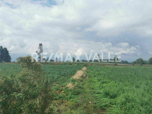Imagen 4 de 4 de Terreno En Venta.