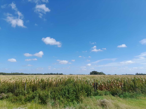 Campo En Venta!!!