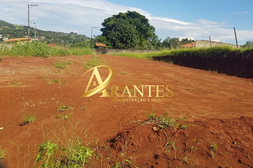 Imagem 2 de 7 de Terreno - Te00011 - 69578093