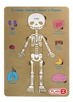 Comprar Juego Didáctico De Encastre Material Madera Resistente Cuerpo Humano Esqueleto Infantil Niño Color Huesos y Órganos Esrimulacion Y Aprendizaje Temprano Diversión Segura Marca Plan Z Educación Lúdica