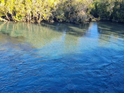 Parcelas A 2 Minutos Del Lago Rupanco, Acceso A Rio