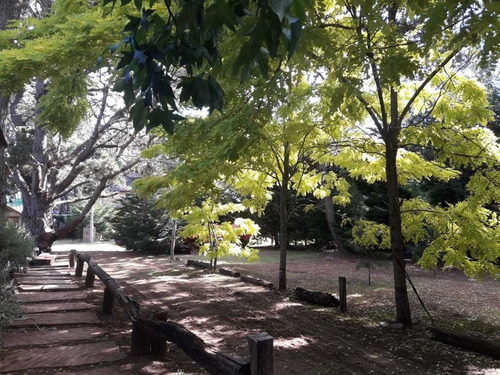 Imagen 2 de 14 de Alquiler 4 Y 6 Personas - Bosque Del Cristo- Costa Del Este