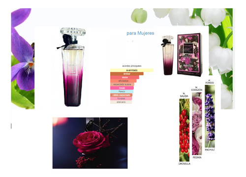 Perfume Fanatique Nuit Folie Silver Edition Edp Femenino