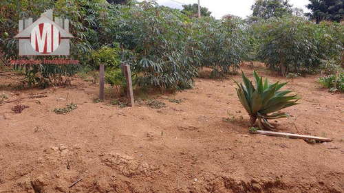 Chácara Com Pomar Formado, Pertinho Da Cidade, Linda Vista. 03 Dormitórios À Venda, 2500 M² Por R$ 280.000 - Zona Rural - Pinhalzinho/sp - Ch0178