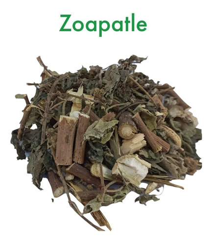 Zoapatle - Montanoa Tomentosa 100% Orgánico 250grs 