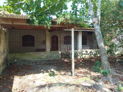 Imagem 1 de 10 de Terreno Com Edícula Com 02 Dormitórios, Varanda, Amplo Quintal. - V617