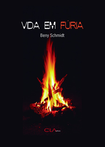 Vida em fúria, de Schmidt, Beny. Editora Cl-A Cultural Ltda, capa mole em português, 2013