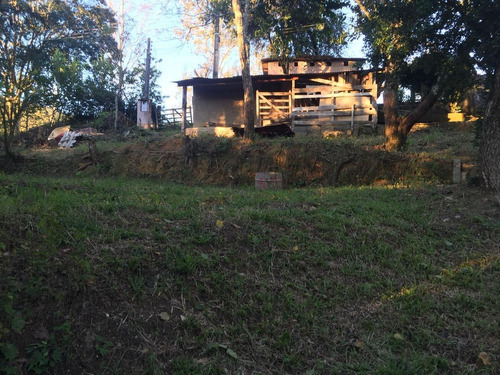 Imagem 5 de 15 de Sítio À Venda Na Estr. Do Turvo, Formigas, Bananal - Sp - Liv-3528