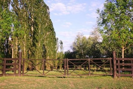 Imagen 10 de 19 de Quinta - San Antonio De Areco