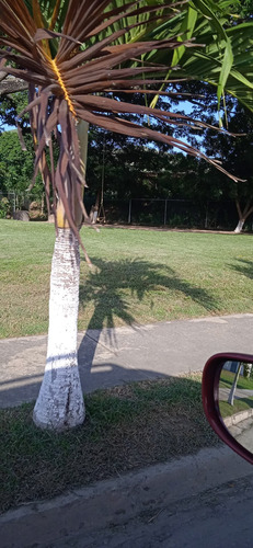 Imagen 20 de 25 de Casa En Guacara Urb Las Brisas, 5604293