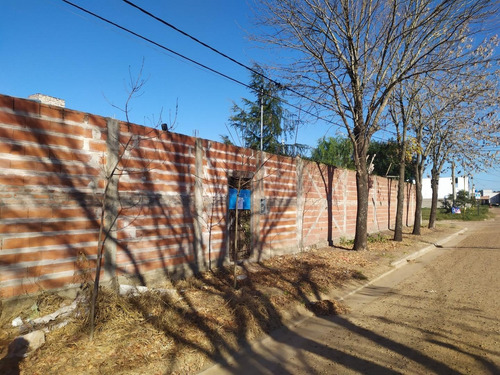 Imagen 3 de 10 de Galpón 10m. X 20m.total 570m². 2 Patios.