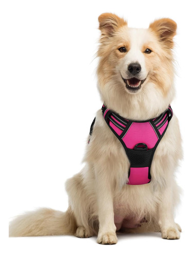 Arnés Para Perro Rabbitgoo, Ajustable, Sin Ahogo, Talla M