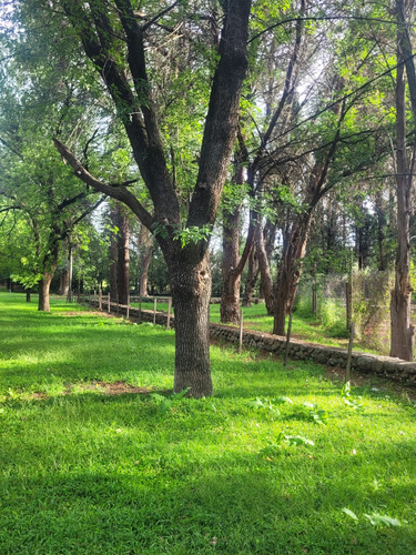 Terreno En Venta En Nono