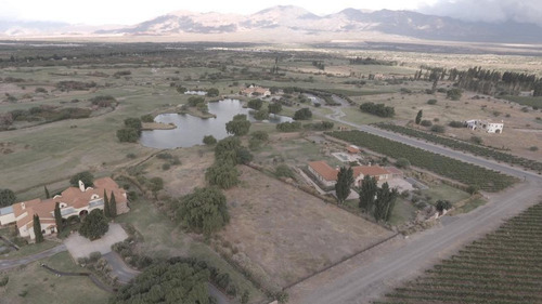 Terreno - Cafayate