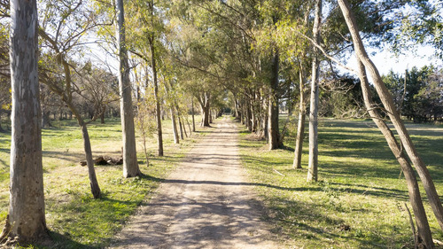 Chacra En Venta En Carlos Keen