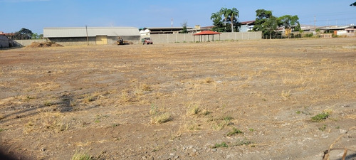Imagen 6 de 6 de Se Alquila 17.000 M2 De Terreno Zona Industrial Barquisimeto