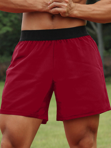 Pantalones Cortos Casuales Para Hombre, Deportivos, Elástico