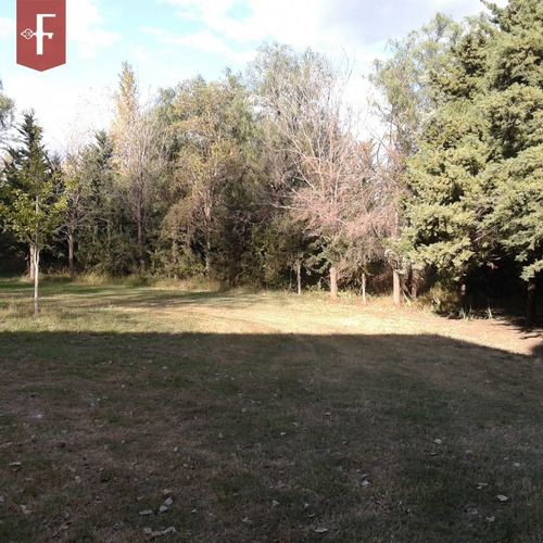 Imagen 6 de 9 de Galpon En Venta En San Luis