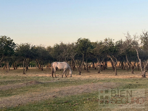 Chacra De 3,5  Hás. Con Casa En Las Brujas