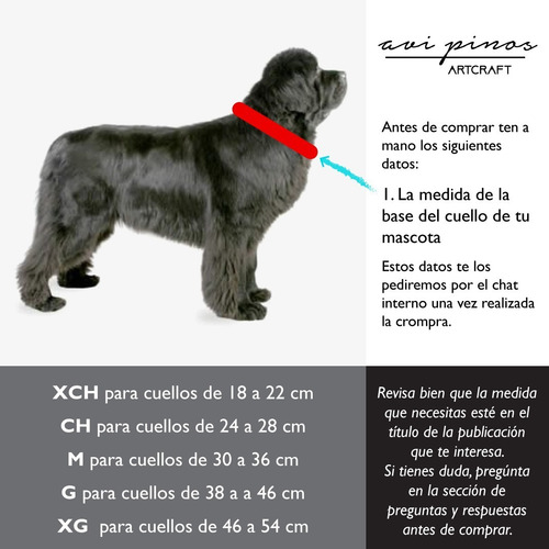 Imagen 5 de 5 de Collar Y Placa Id Perro Extrachico Y Chico: Otomí Blanco