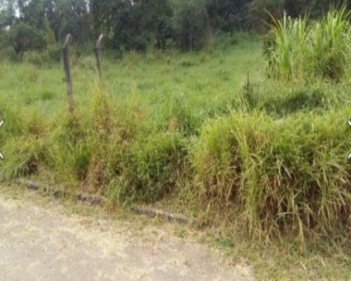 Imagem 1 de 3 de Terreno - Te-23 - 32142519