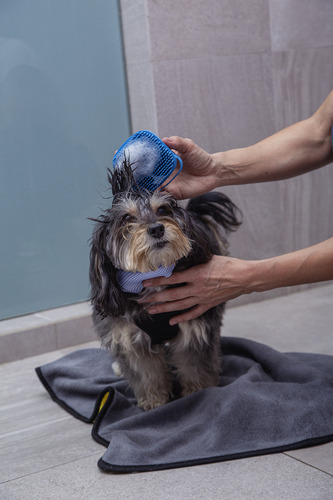 Cepillo Dispensador De Jabón Baño Perros Mascotas Reynera Color Azul