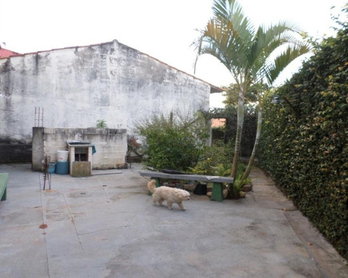 Casa - Ca0247 - 32670356